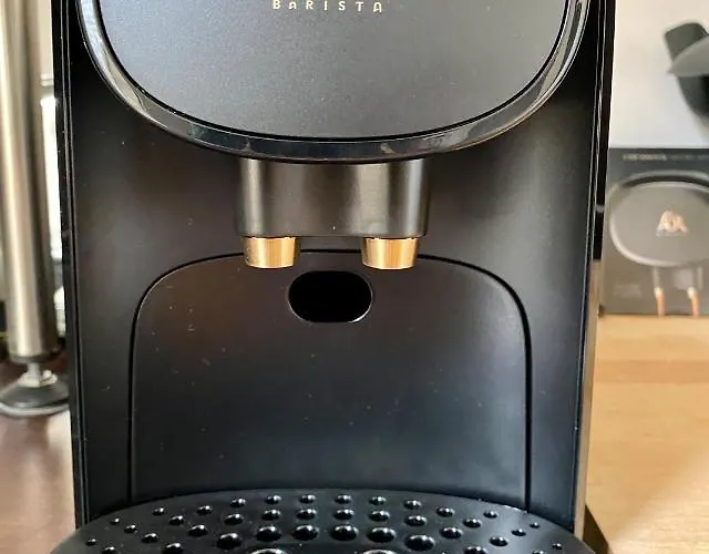 Magnifiques Au Coeur De * Burdeos